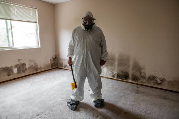 Professional Mold Remediation in Chapman, KS